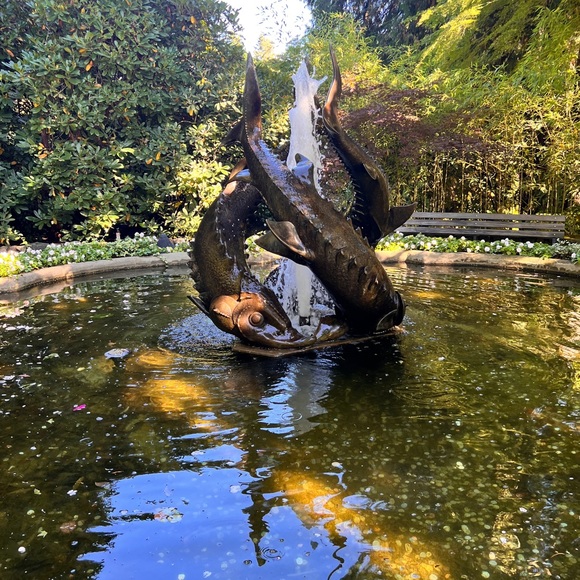 Meet your Posher, Rachael - Picture 12 of 14